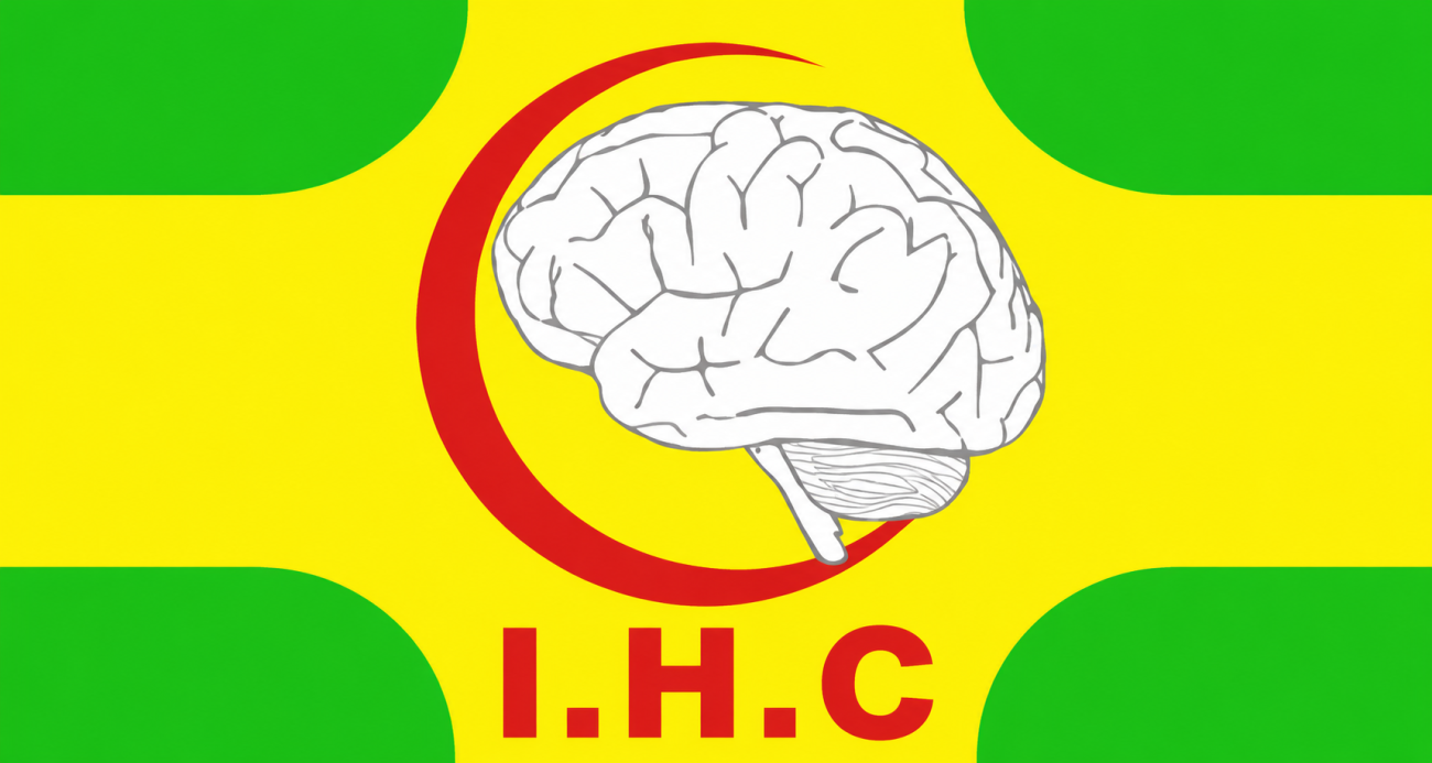 International Neurosurgery Hospital